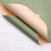 Pack of 20 Sheets Gift Wrapping Paper 57x57cm, 2-Colored Flower Wrap Paper (Available Color Options, 1 Pack 1 Color ) - 13# Champagne + Matcha Color